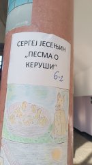 497495944_1166579462149884_2308615341494504766_n.jpg